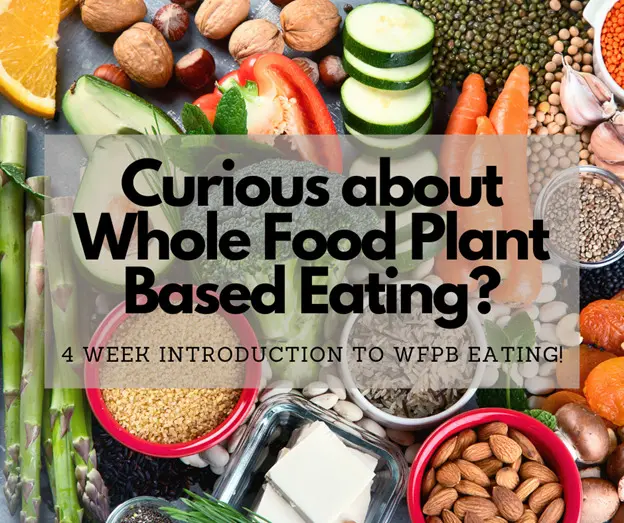 Are you curious about eating a more Plant Based Diet?